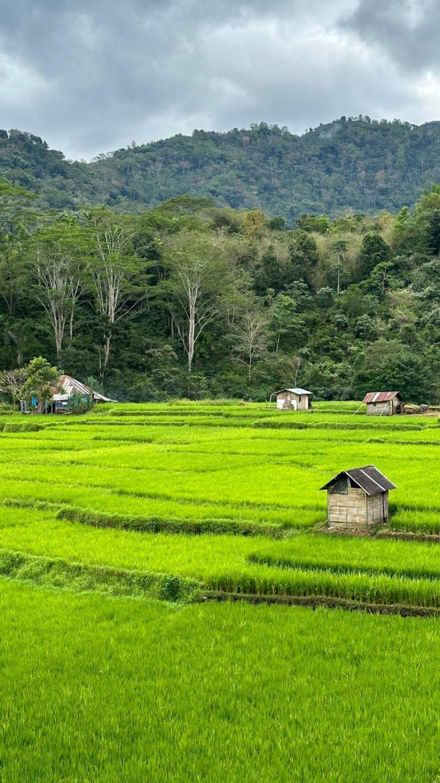 Petra Homestay Bangka Leda Ruteng Eksteriør billede